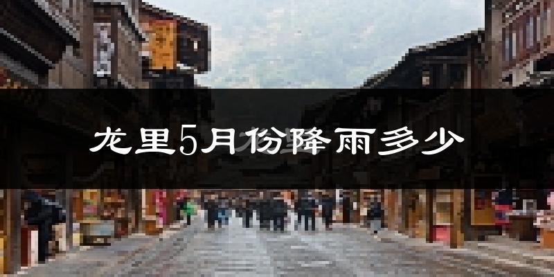 龙里5月份降雨多少?