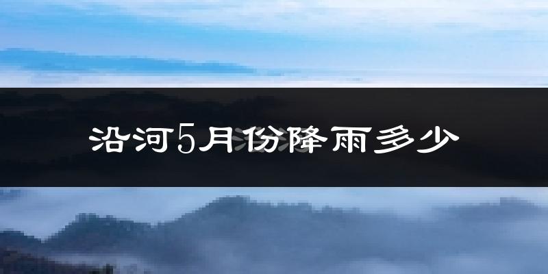 沿河5月份降雨多少?