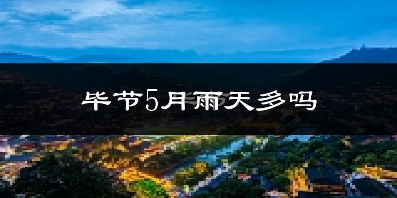 毕节5月雨天多吗?