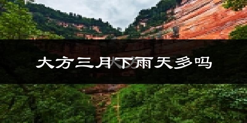 大方三月下雨天多吗?大方3月份降雨量多少?