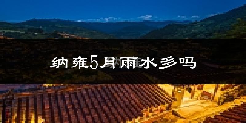 纳雍5月雨水多吗?