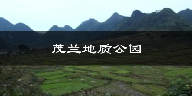 茂兰地质公园天气预报十五天