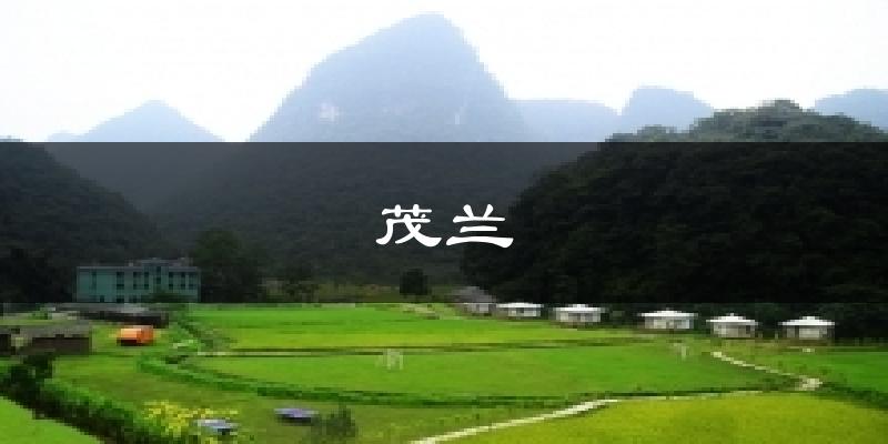 茂兰天气预报十五天
