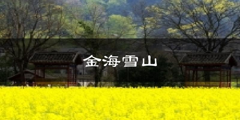 金海雪山天气预报十五天