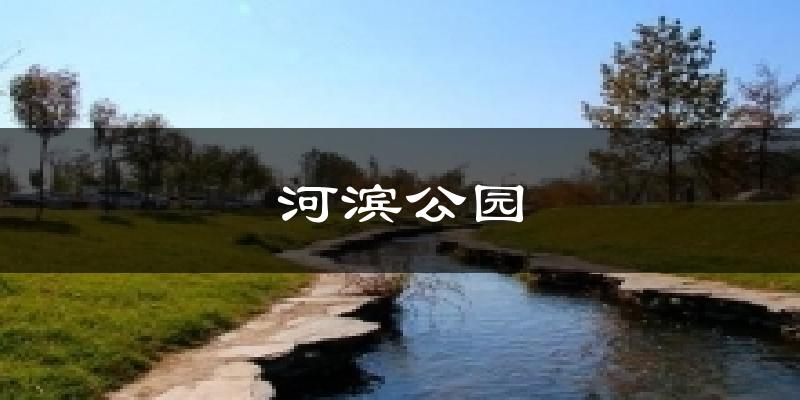 河滨公园天气预报十五天