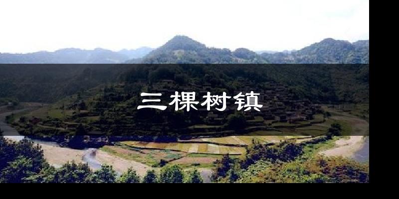 三棵树镇天气预报十五天