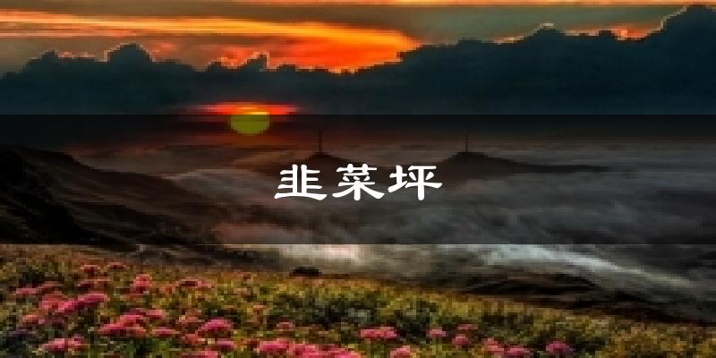 韭菜坪天气预报十五天