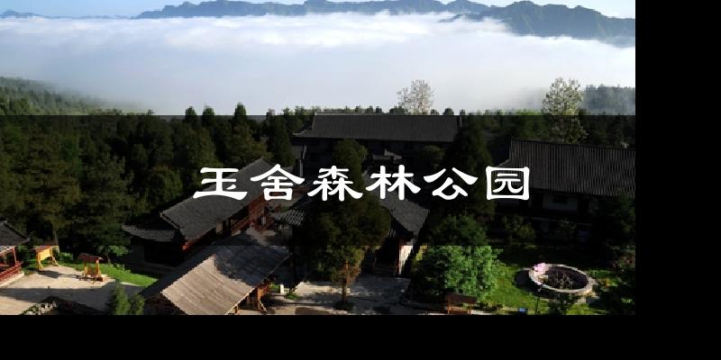 玉舍森林公园天气预报十五天