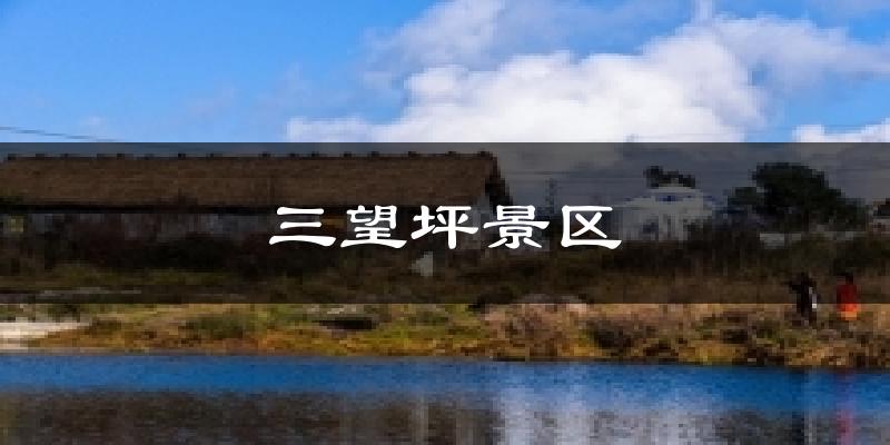 三望坪景区天气预报十五天