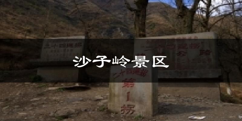 沙子岭景区天气预报十五天