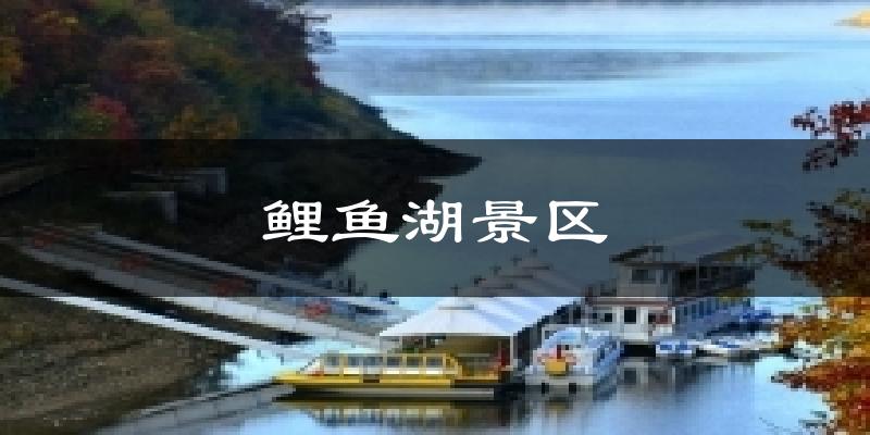 鲤鱼湖景区天气预报十五天