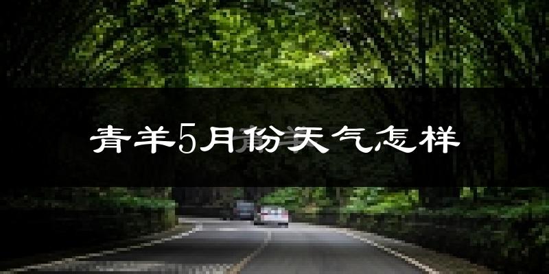 青羊5月份天气怎样?青羊五月冷不冷?