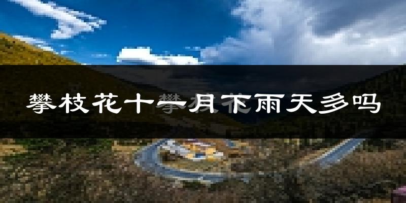 攀枝花十一月下雨天多吗?攀枝花11月份降雨量多少?