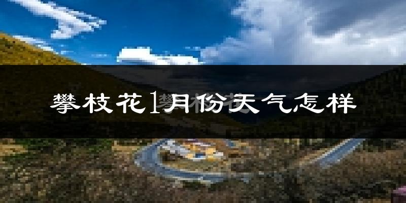 攀枝花市1月份天气如何?冷吗?
