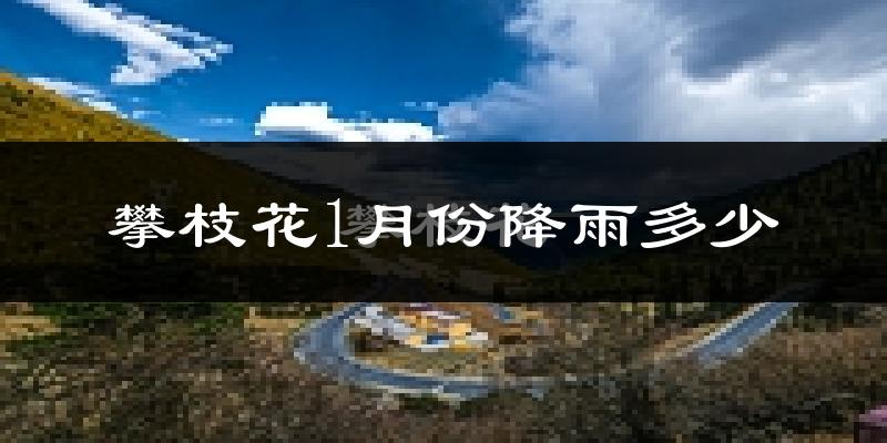攀枝花1月份降雨多少?