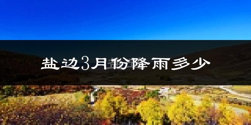 盐边3月份降雨多少?