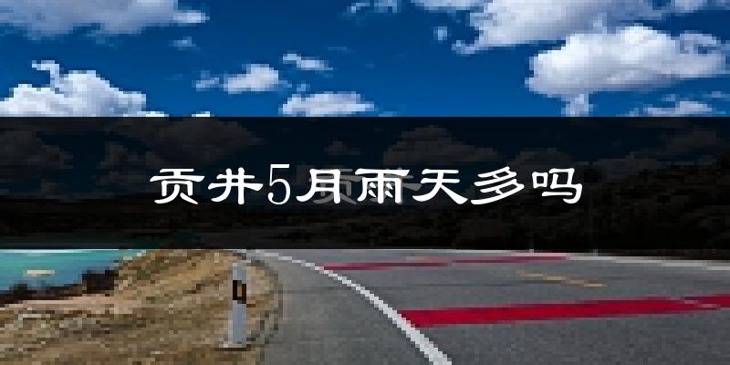 贡井5月雨天多吗?