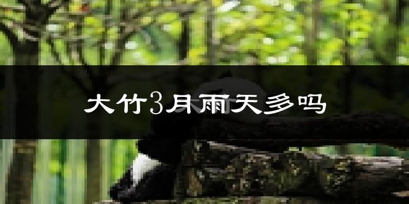 大竹3月雨天多吗?