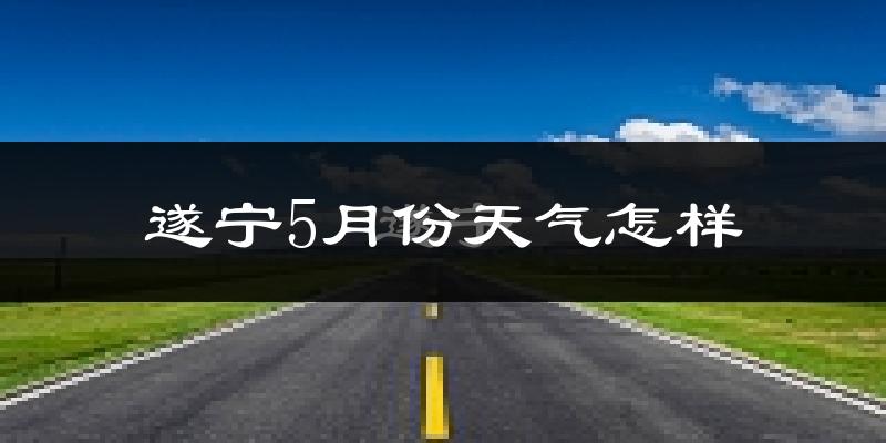 遂宁5月份天气如何?很热吗?——基于2024年与2025年历史数据对比分析