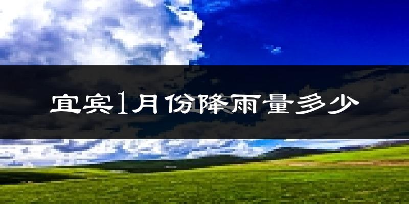 宜宾1月份降雨量多少?宜宾一月下雨多吗?