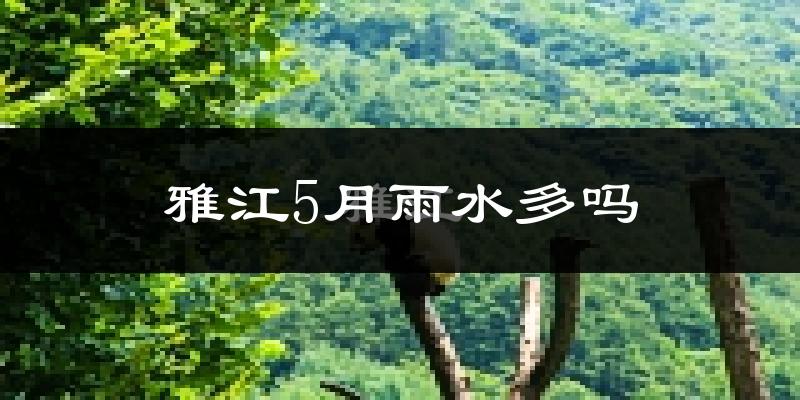 雅江5月雨水多吗?
