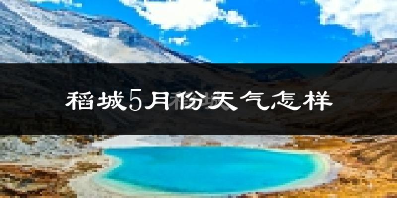 稻城县5月份天气如何?很冷吗?