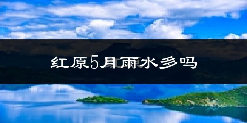 红原5月雨水多吗?