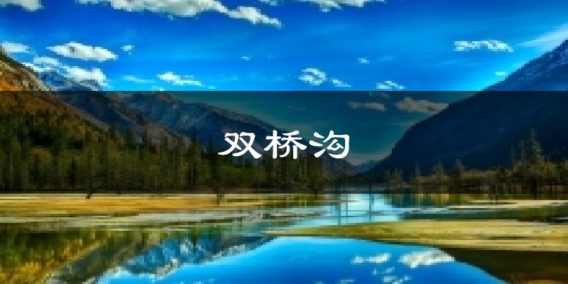 双桥沟天气预报十五天