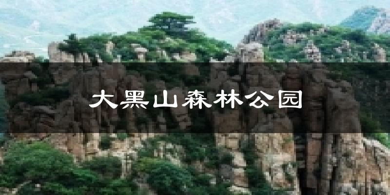 大黑山森林公园天气预报十五天