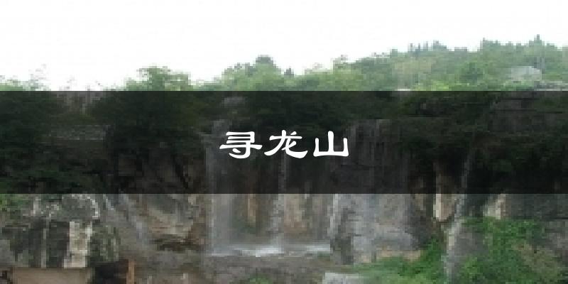 寻龙山天气预报十五天