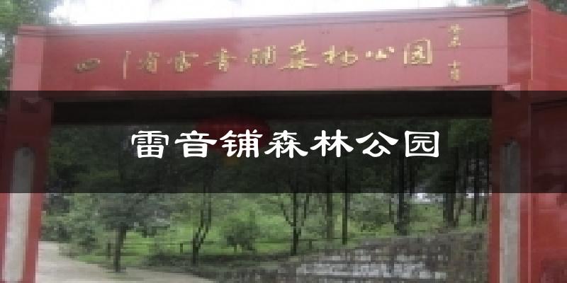 雷音铺森林公园天气预报十五天