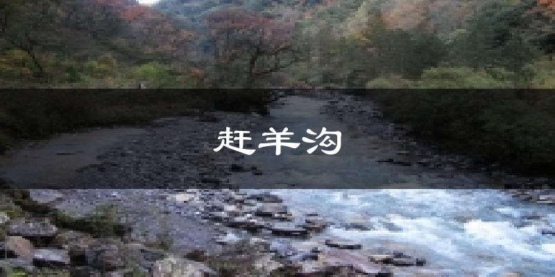 赶羊沟天气预报十五天