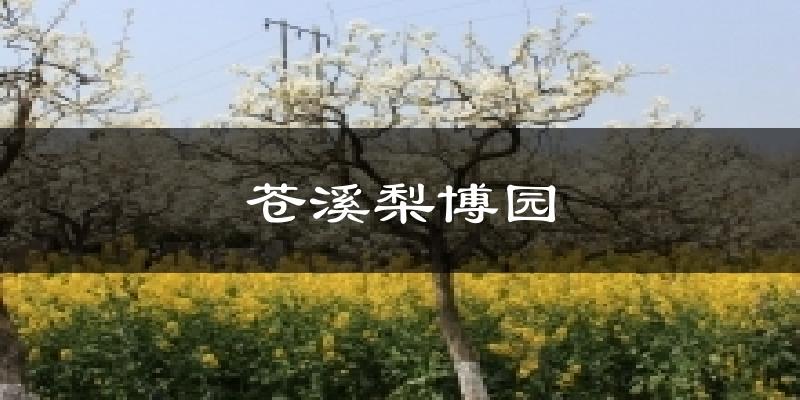 苍溪梨博园天气预报十五天