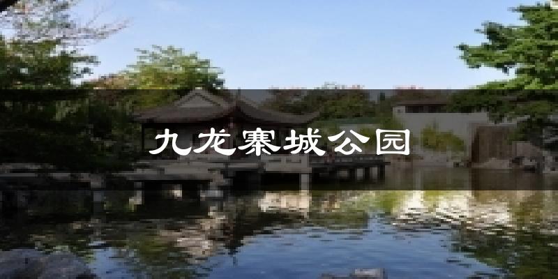九龙寨城公园天气预报十五天