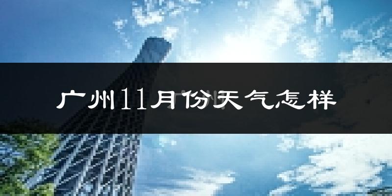 广州11月份天气怎样?广州十一月冷不冷?
