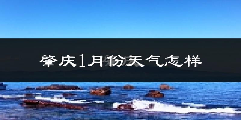 肇庆市1月份天气如何?冷吗?过去两年天气数据分析