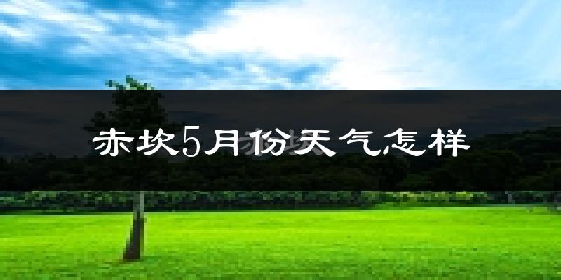 赤坎5月份天气怎样?赤坎五月冷不冷?