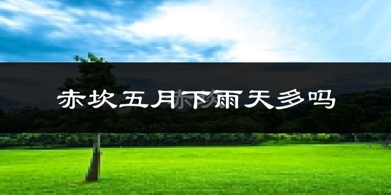 赤坎五月下雨天多吗?赤坎5月份降雨量多少?