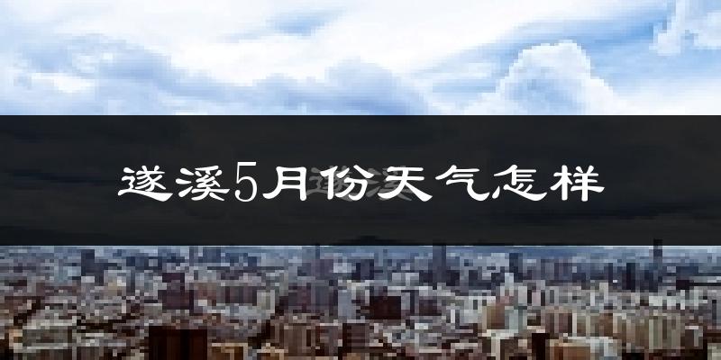 遂溪县5月份天气如何?很热吗?