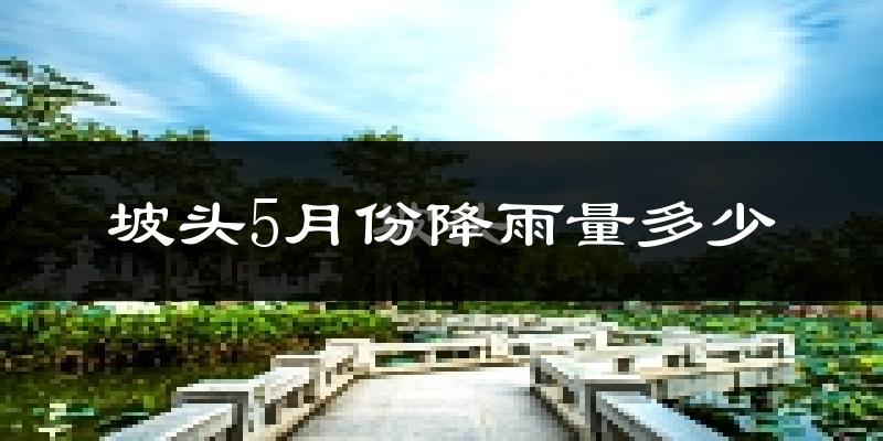 坡头5月份降雨量多少?坡头五月下雨多吗?