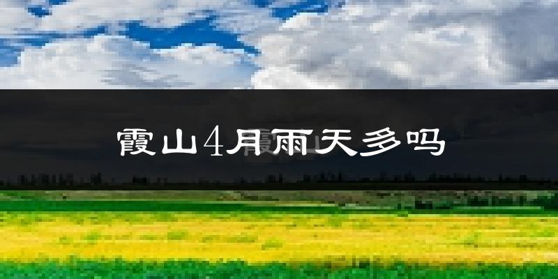 霞山4月雨天多吗?
