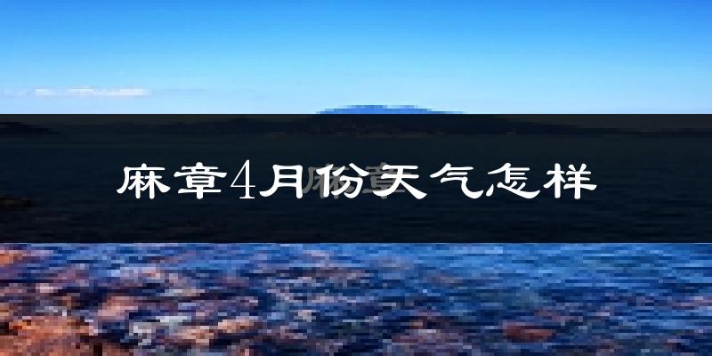 麻章4月份天气怎样?麻章四月冷不冷?