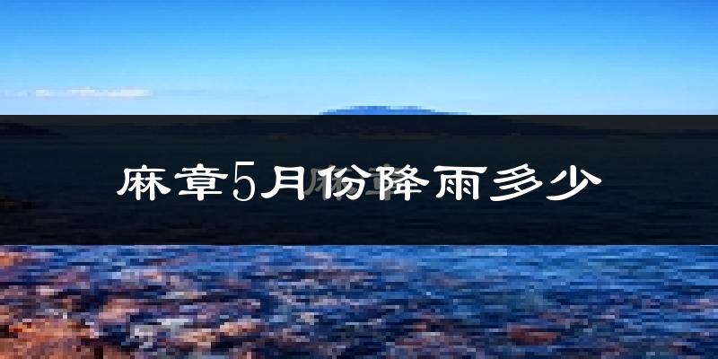 麻章5月份降雨多少?