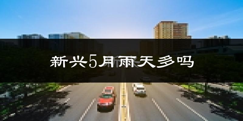 新兴5月雨天多吗?