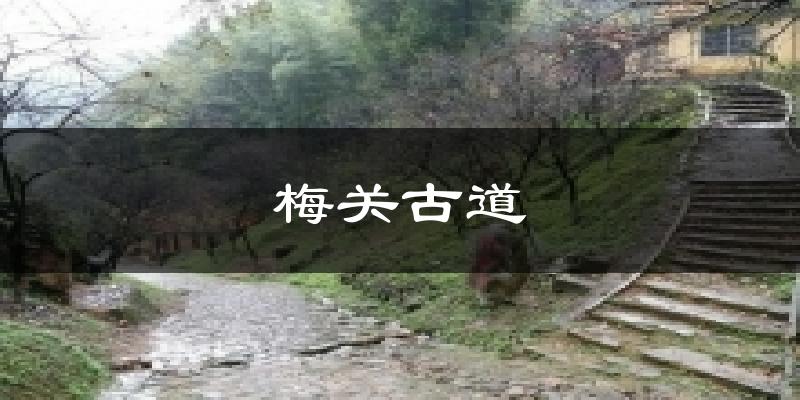 梅关古道天气预报十五天