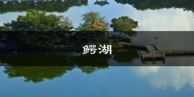 鳄湖天气预报十五天