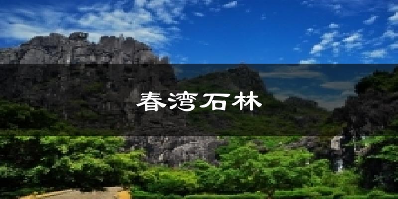 春湾石林天气预报十五天
