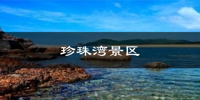 珍珠湾景区天气预报十五天