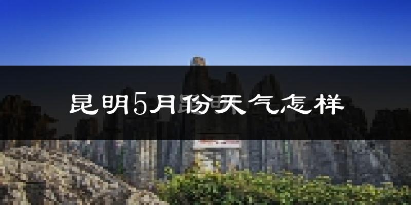 昆明5月份天气如何?很热吗?