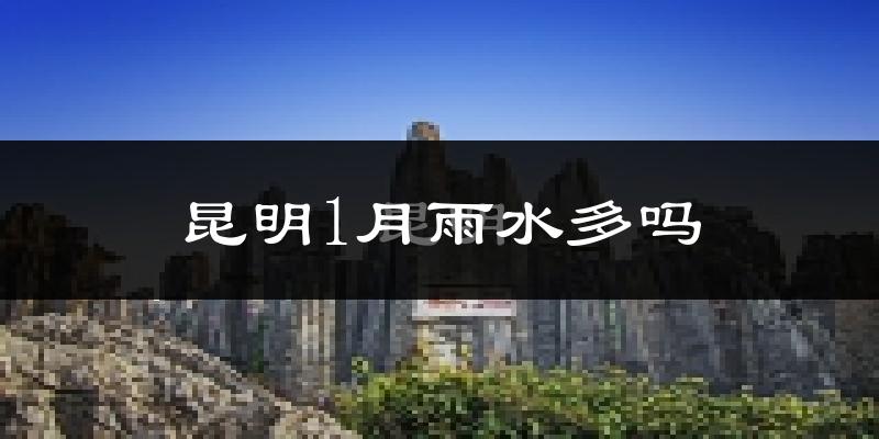 昆明1月雨水多吗?